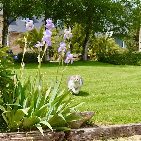 La Pichonniere 3* Isigny-le-Buat