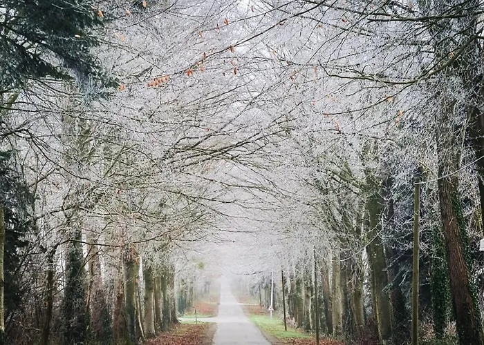 La Pichonniere Oda ve Kahvaltı