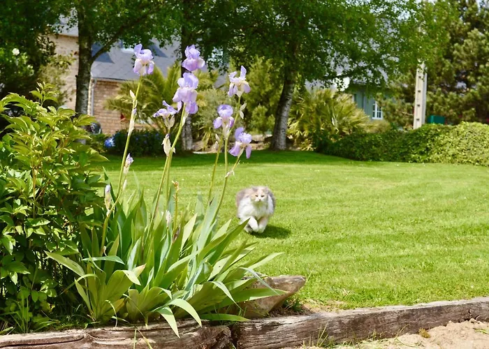 La Pichonnière 3* Isigny-le-Buat